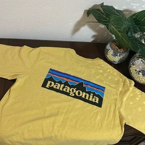 Patagonia short short sleeve responsibili-tee